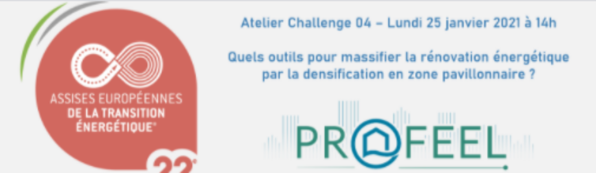 WEBINAIRE PARTENAIRE : ATELIER CHALLENGE – Quels outils pour massifier la rénovation énergétique par la densification en zone pavillonnaire ?